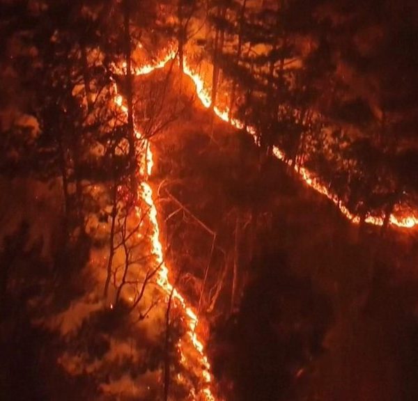 South Korea wildfires