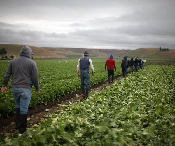 BREAKING: UK deports 43 immigration offenders to Nigeria, Ghana