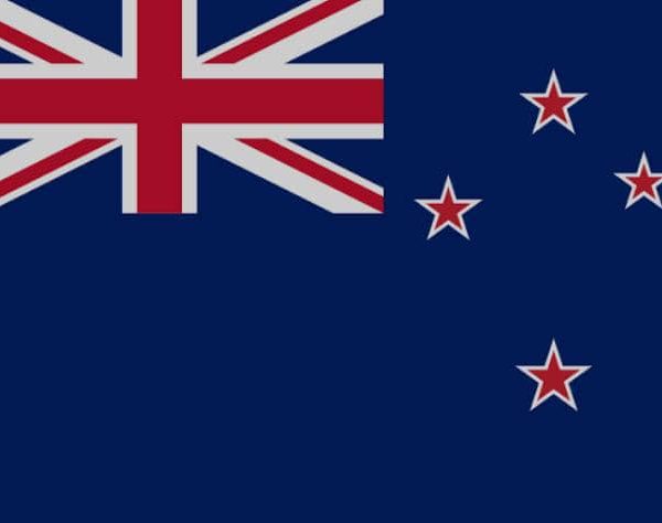 New Zealand offers visa sponsorship jobs for foreign professionals