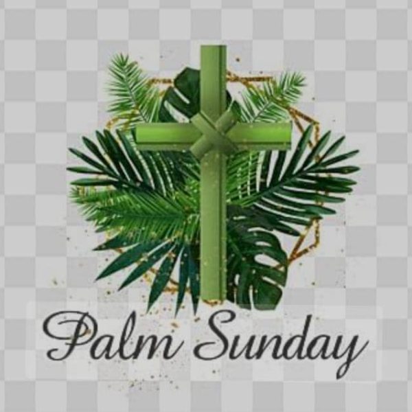 Global palm sunday celebrations stir debate over historical Jesus