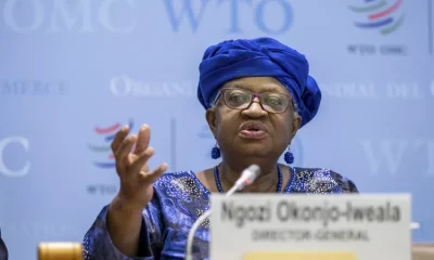 WTO warns of Trump's tariffs
