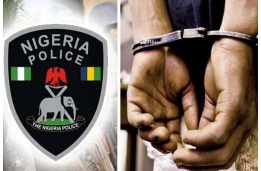 Teenager arrested for stabbing father’s mistress to death