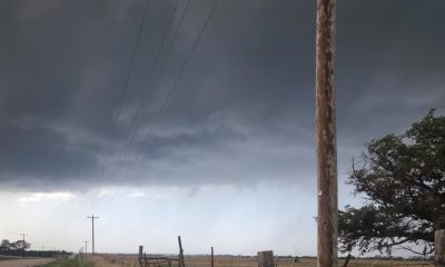 Storm in the US kills three, cuts poer supply to over 500K customers