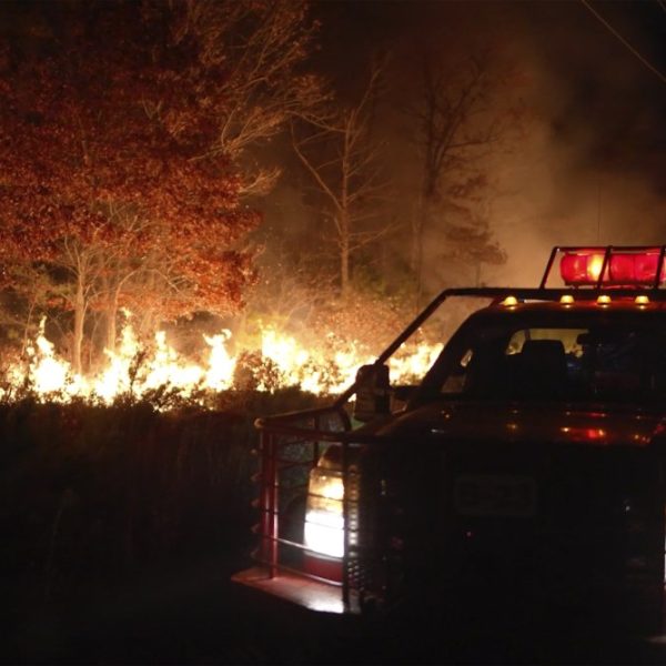 Wildfire hits New Jersey