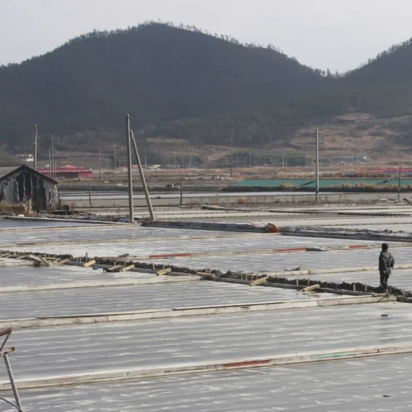 U.S. bans South Korean  largest sea salt imports over forced labour 