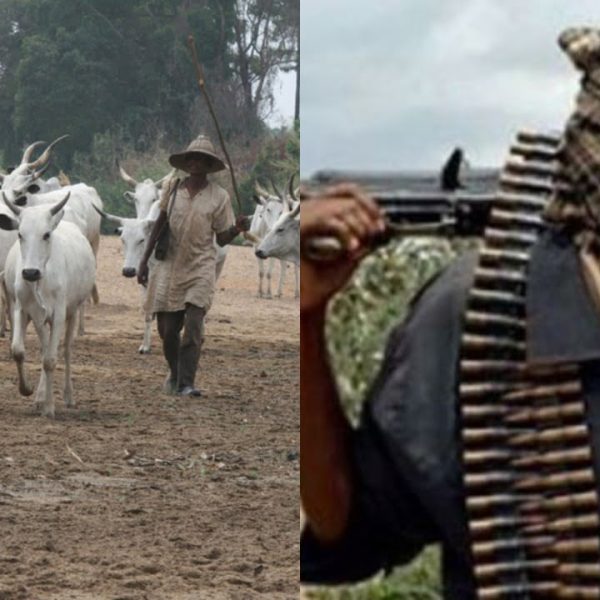 Herdsmen Kill Nine in New Wave of Attacks in Benue