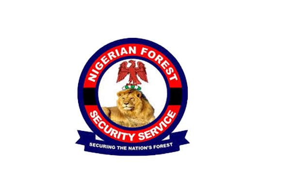 Nigeria Forest Security Service is recruiting