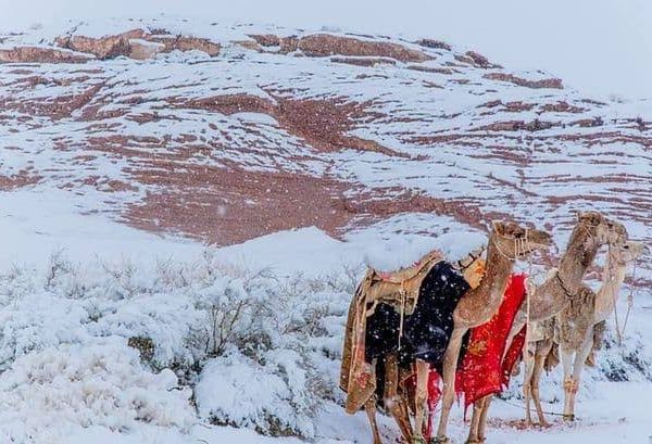 Africans celebrate snowfall in Cameroon