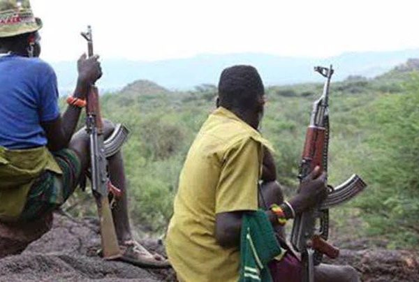 Kidnappers fear aircraft, not God: Gen. Tsiga’s ordeal in captivity