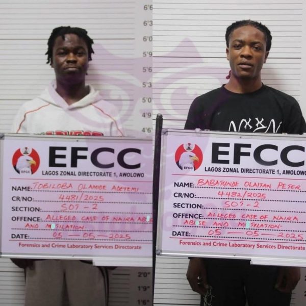 Court sentences popular content creator to six months for Naira abuse