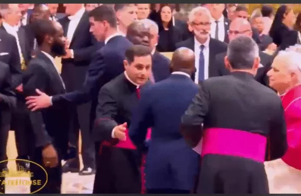 Seyi Tinubu clashes with Vatican security near Pope Leo XIV