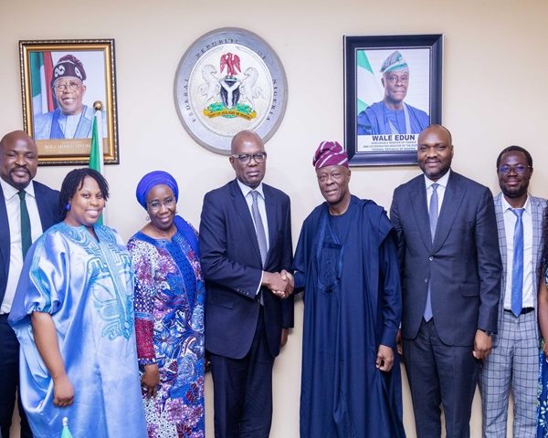 FG launches Nigerian platform to raise $500M green funding
