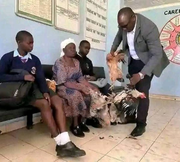 Grandmother trades six chickens to keep girl in school