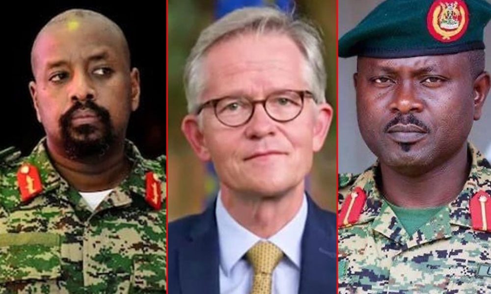 Ugandan military accuses German envoy of interference