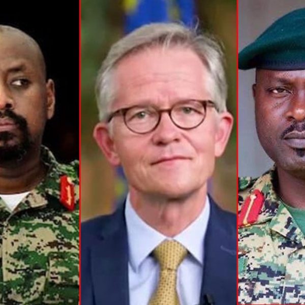 Ugandan military accuses German envoy of interference