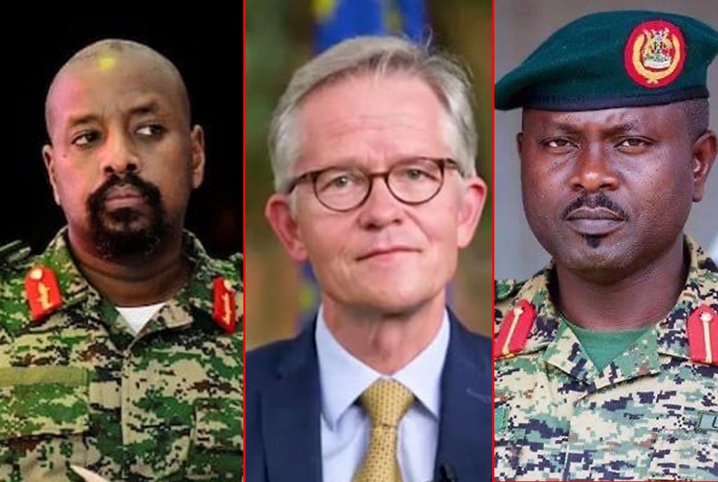 Ugandan military accuses German envoy of interference