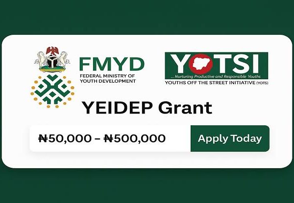 Nigerian government to begin payment of ₦500,000 YEIDEP grant in July