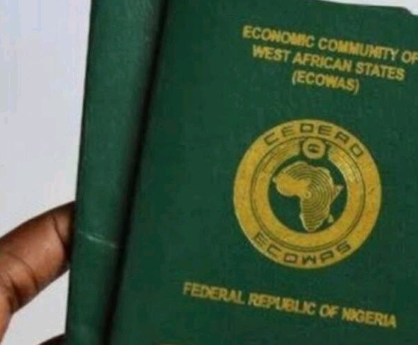 More countries offer five-year multiple entry visas for Nigerians