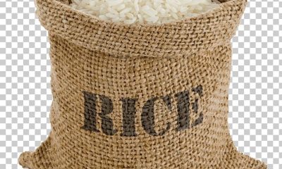Rice