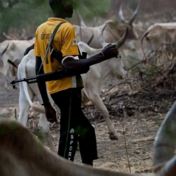 Herdsmen terrorists strike Yelewata, leaving trail of death and grief