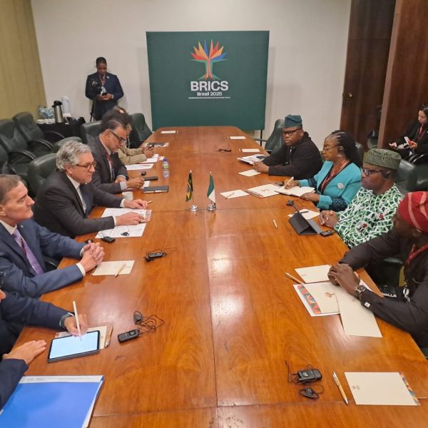 Just in: Nigeria participates in BRICS health ministerial for the first time