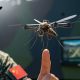 Mosquito-sized spy drone