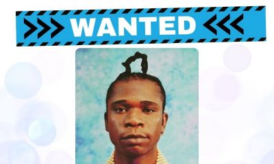 Speed Darlington