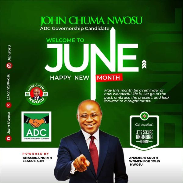 INEC defies opposition, hands ADC governorship ticket to Nwosu ahead of Anambra 2025