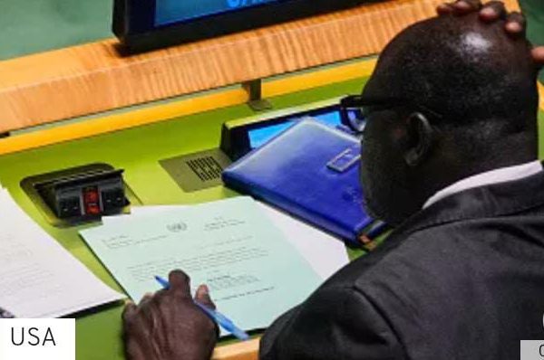 DRC, Liberia join UN Security Council as Nigeria misses out amidst rising insecurity