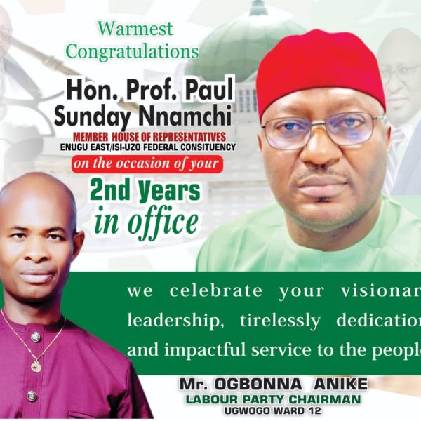 Against all odds, Prof. Nnamchi proves critics wrong after two years in office