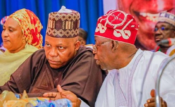 Just in: Tension in APC as plot to drop Shettima emerges