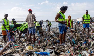 Investigations reveal UK fashion wastes are dumped in Ghana wetlands