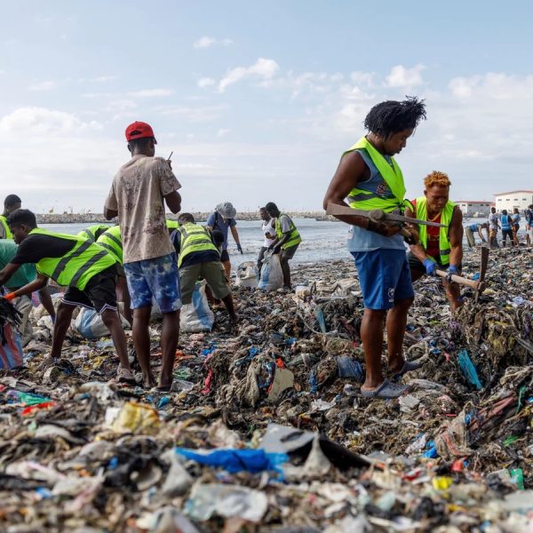 Investigations reveal UK fashion wastes are dumped in Ghana wetlands
