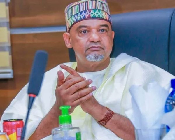 Damagum avoids comment, seeks clarity before PDP NEC meeting
