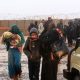 Syria takes steps towards reconstruction as Rukban camp closes