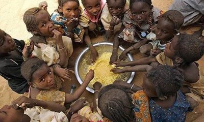 UN highlights regions at high risk of food insecurity