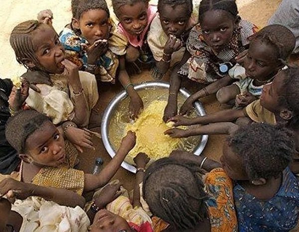 UN highlights regions at high risk of food insecurity
