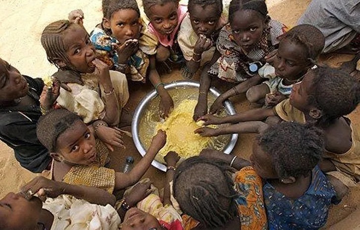 UN highlights regions at high risk of food insecurity