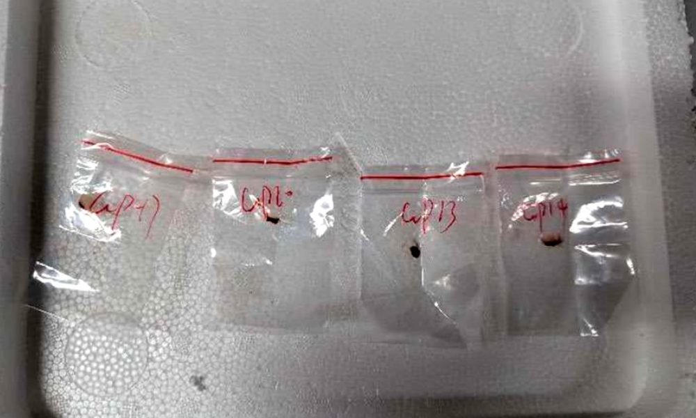 US government arrests Chinese nationals for smuggling dangerous bio pathogen into the country