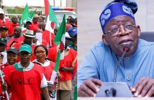 ‘Two years of pain’–NLC blasts Tinubu’s reform agenda