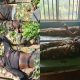 Soldiers killed by bandits in Niger