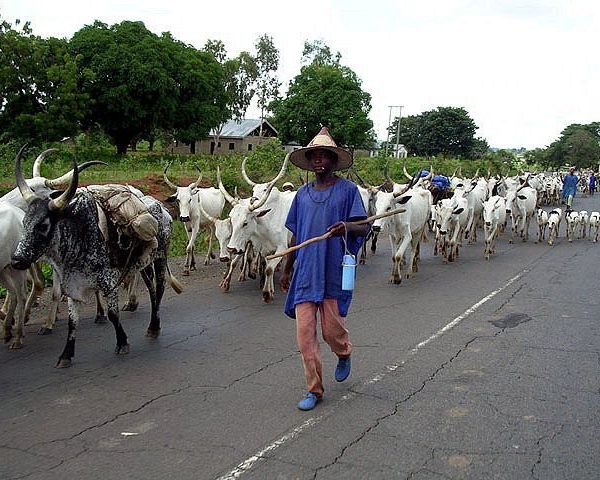 Fulani t€rrorists thr€aten security across communities in south-east