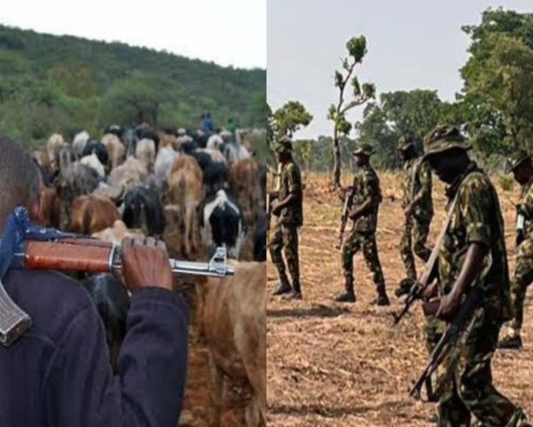 Bayelsa Protest Turns Violent; Calls for Justice, Security Rise