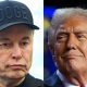 President Donald Trump versus Elon Musk