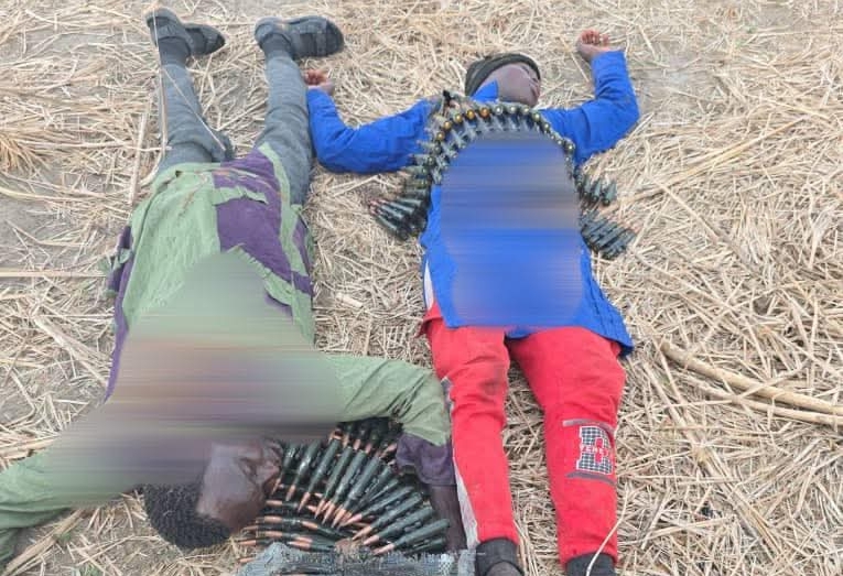 Boko Haram terrorists killed by troops
