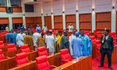 Nigerian Senate