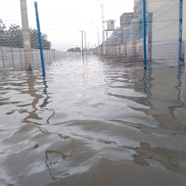 Panic in Borno as Heavy Rain Sparks Building Collapse