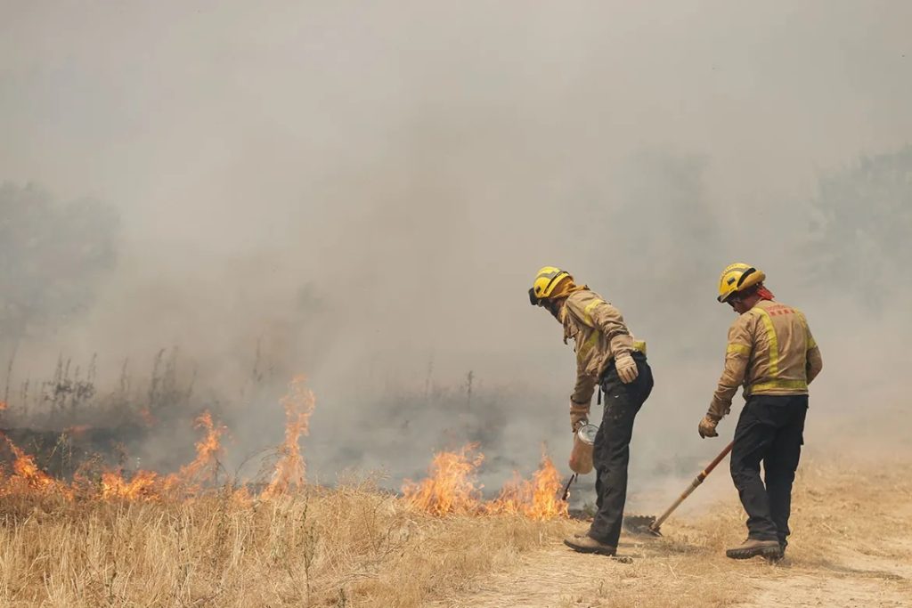 Heatwaves grip Europe, three die in Spain