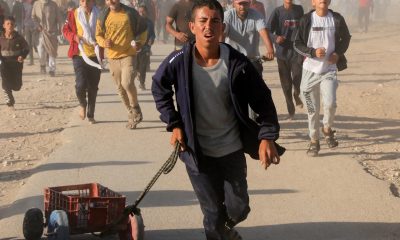 Over 700 Palestinians killed, seeking aid in Gaza