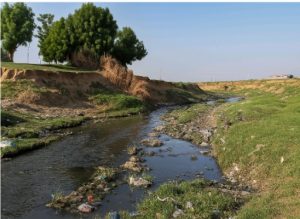 A waste channel from Challawa Industrial Estate flows directly into a nearby irrigation river, carrying untreated effluents and solid waste that threaten local agriculture and public health